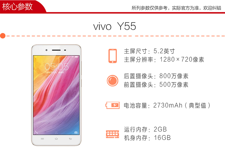 vivoy55全网通216gb