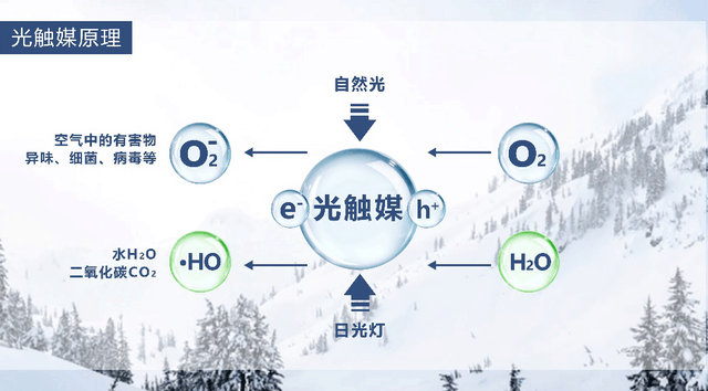 小欧光触媒空气洁净器体验!