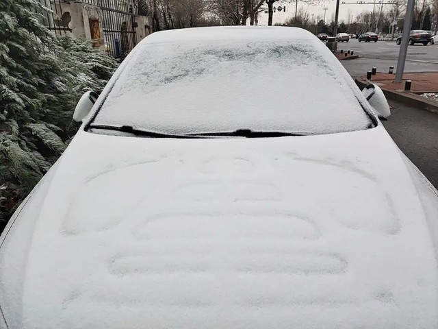 手机摄影|雨夹雪下的公园随拍记录