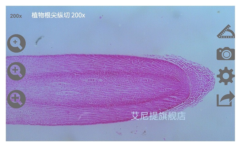 艾尼提自动对焦显微镜3r-msa600