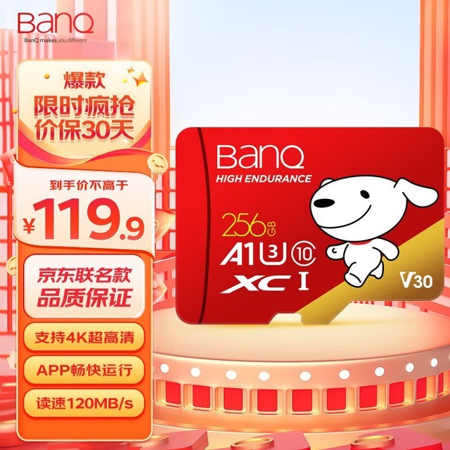 ȫѡ256GB洢Լ۱빺ָ