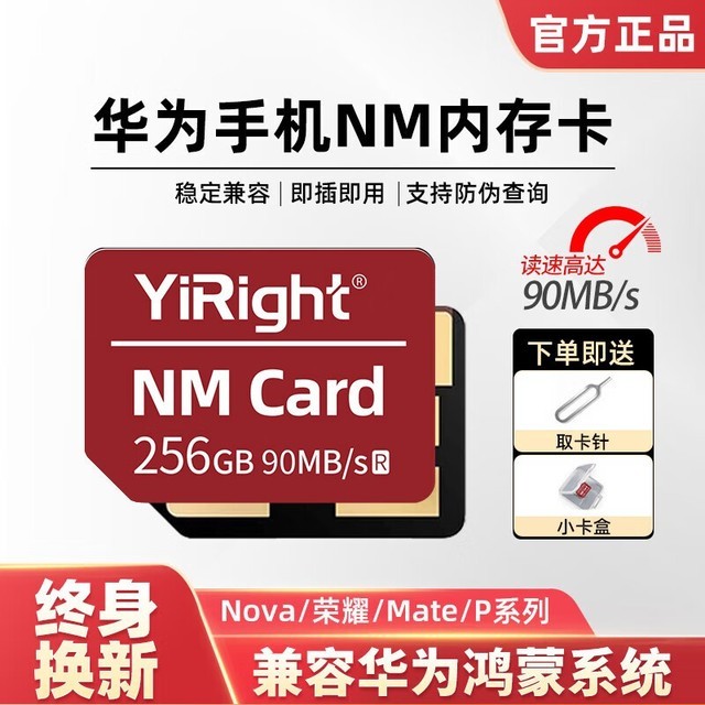 ȫѡ256GB洢Լ۱빺ָ