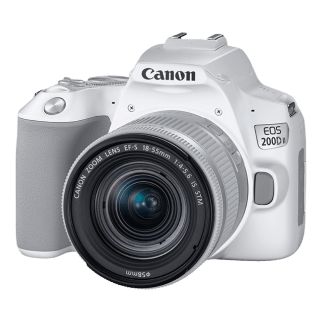 寻找摄影新手的不二之选：三款性价比高、操作简单的入门级单反相机推荐！