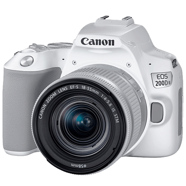 寻找摄影新手的不二之选：三款性价比高、操作简单的入门级单反相机推荐！