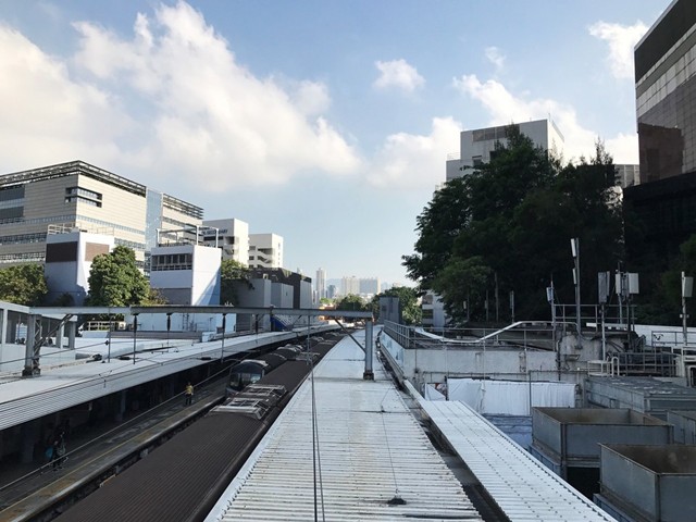 香港九龙塘(香港九龙塘租房)