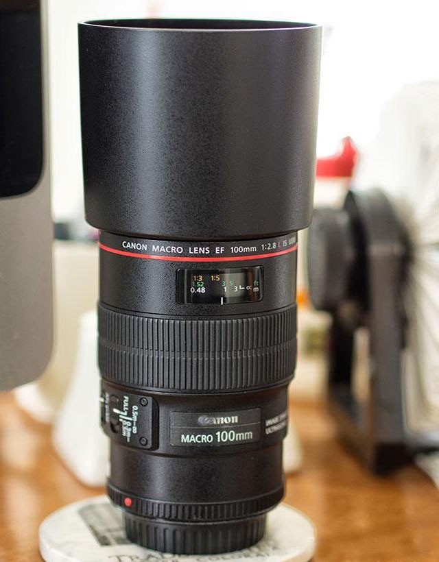 最好最清晰的微距镜头 佳能ef100/2.
