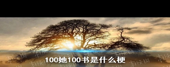 100她100书、醒建国懂，网络流行语解析背后的含义？