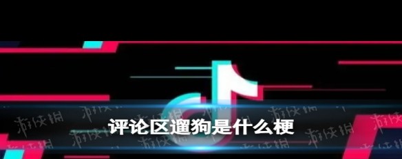 抖音评论区恶搞，‘遛狗’梗的起源与流行？