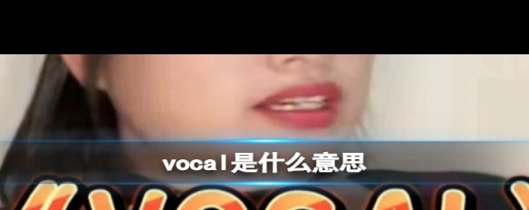 Vocal原意何指，网络用语新解？