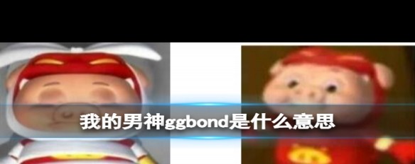 网络热词，ggbond梗解析，它源于何处？