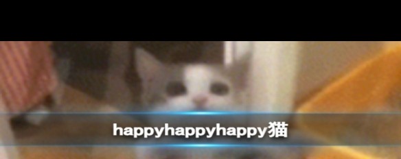 Happy猫梗来源解析及表情包获取方法？