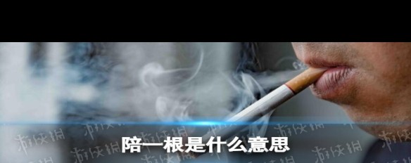 陪一根网络用语的起源与含义解析？