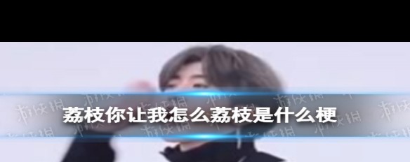 荔枝梗解析,为何'荔枝你让我怎么'成为网络流行语?-ZOL问答