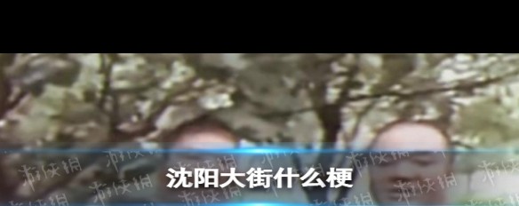 沈阳大街，B站热梗来源与背景解析？