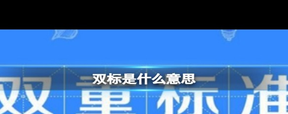 双标流行语解析，对同一事双重标准的网络用法？