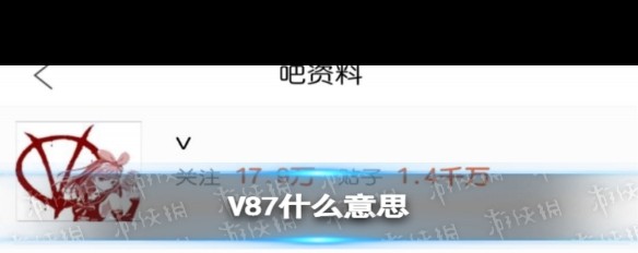 V87在网络中的具体含义是什么？