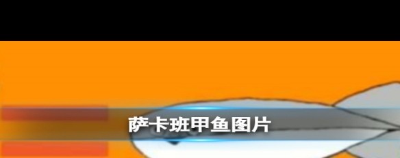 萨卡班甲鱼梗的起源与日本博主亚卡麻提相关吗？