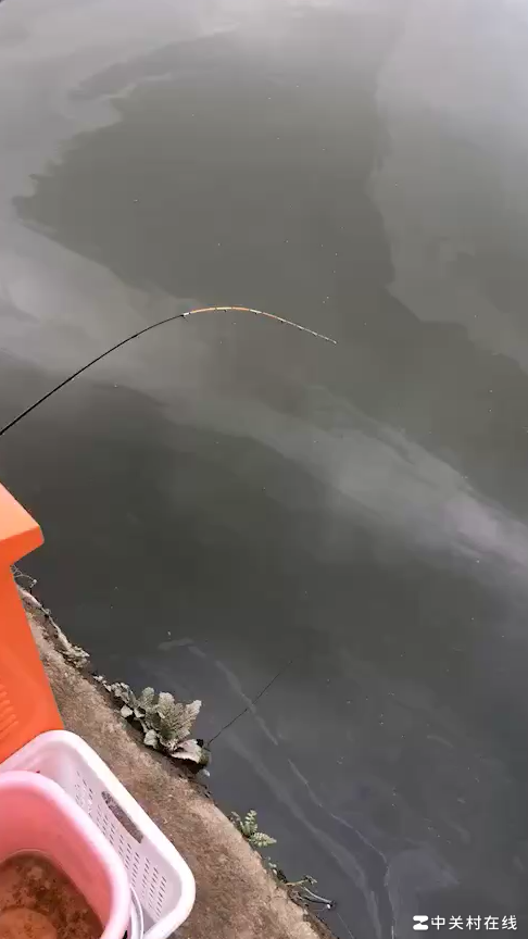 手机上最真实的钓鱼游戏推荐