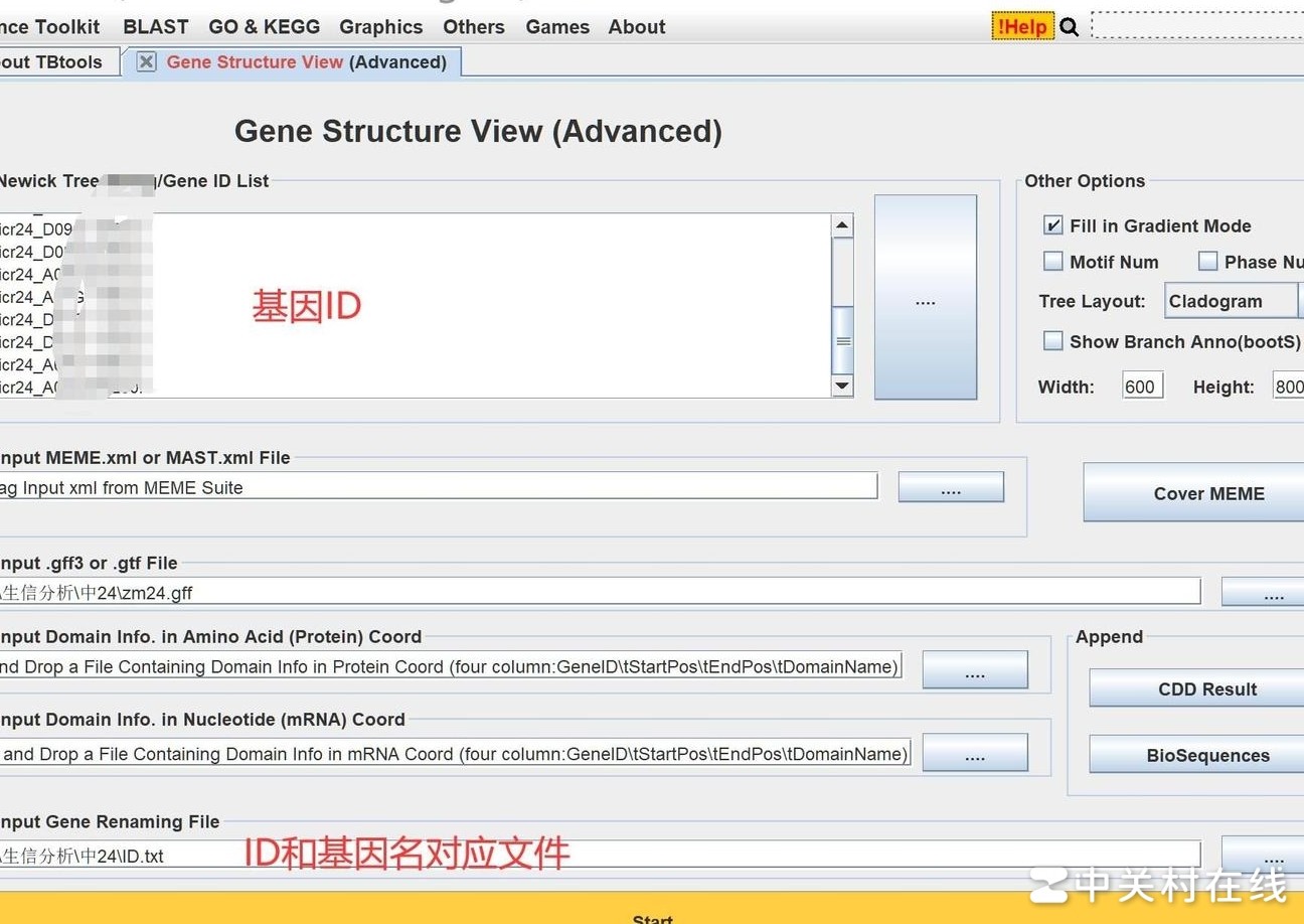 Tbtools基因重命名失败解决