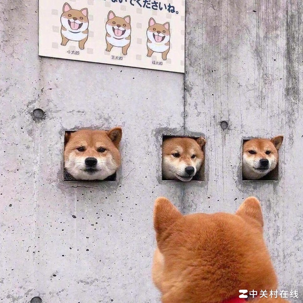 削弱后大岳丸还值得培养吗