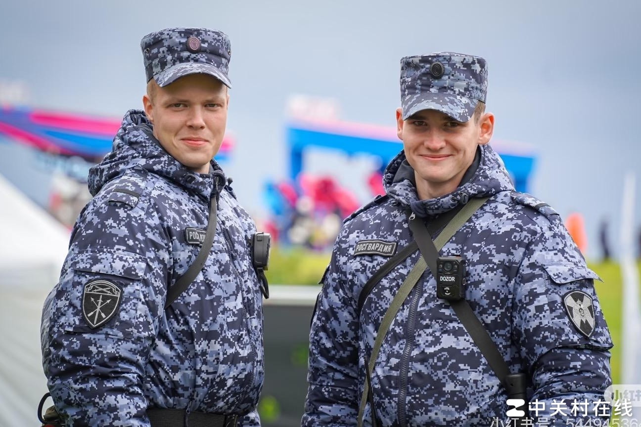 国民近卫军左臂章解析