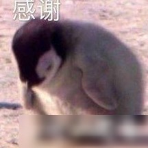 大一新生想买iPad？