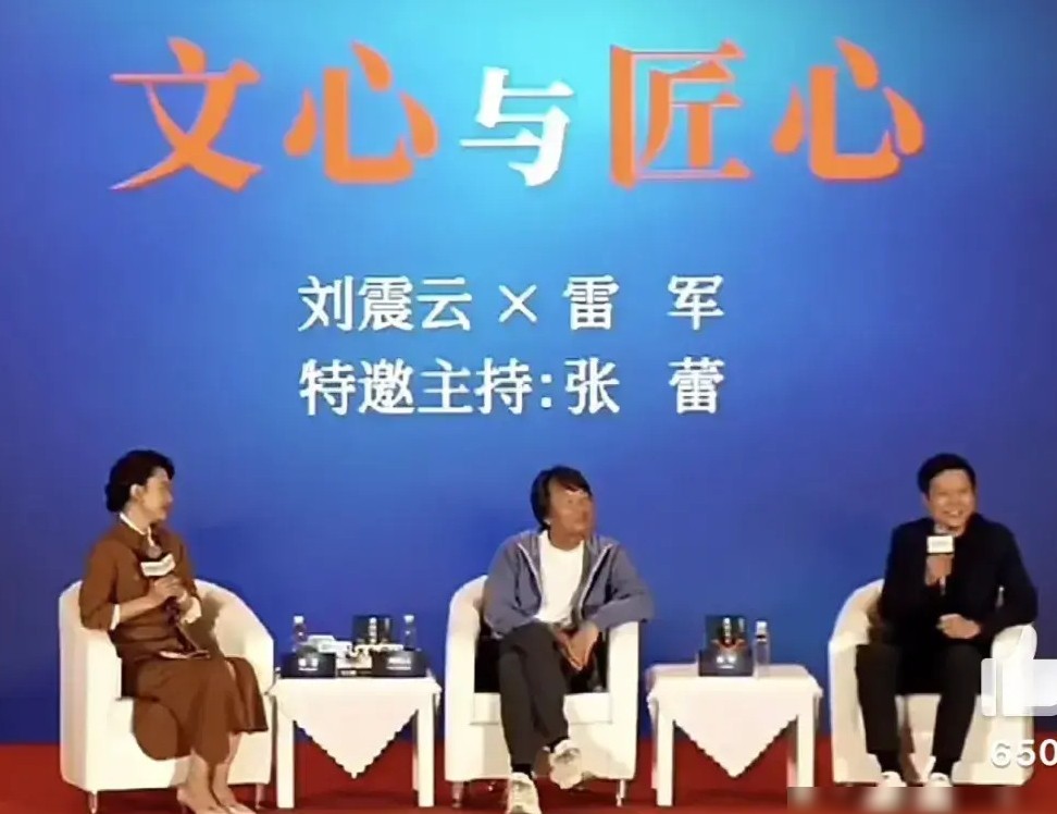雷军谈饱和攻击，跨界对话