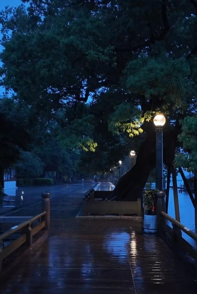 雨天最宜做的事