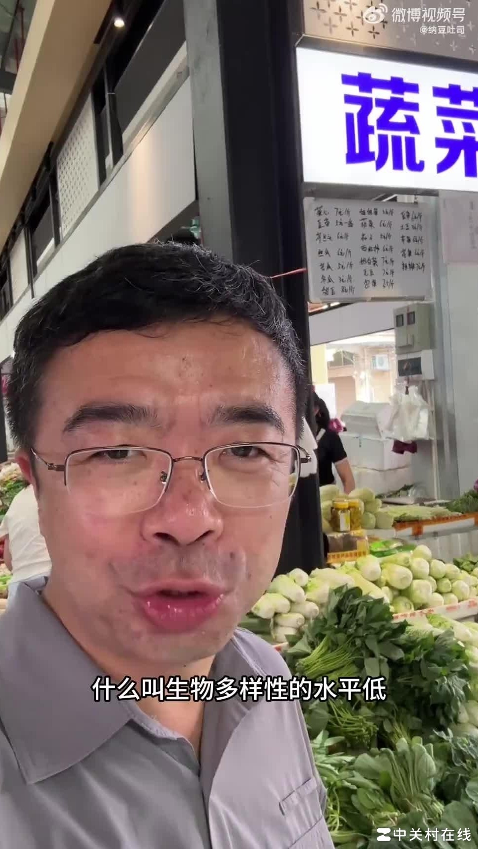 菜市场为何只剩三科叶菜？