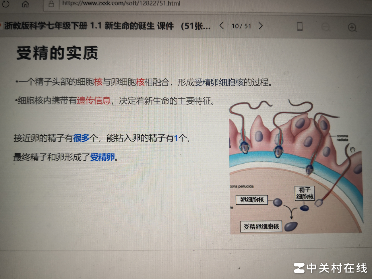PPT在线浏览正常但下载后错乱