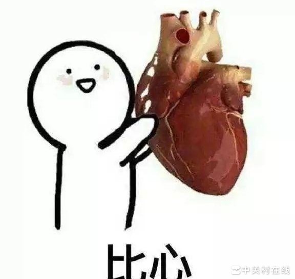 胶片机 vs 拍立得怎么选