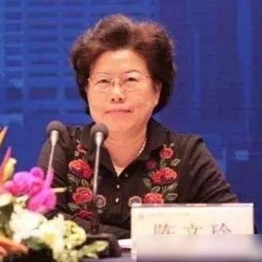 陈文玲谈抢台积电可行吗