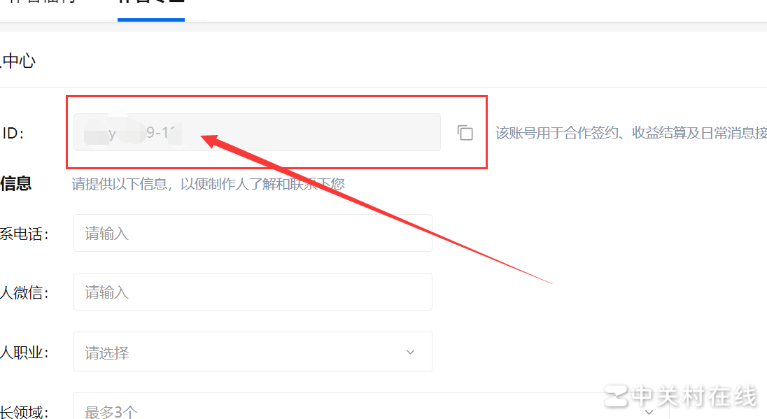 网络盐选作者ID能自定义吗