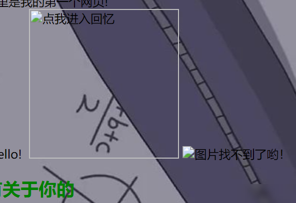 图片插入后为何不显示