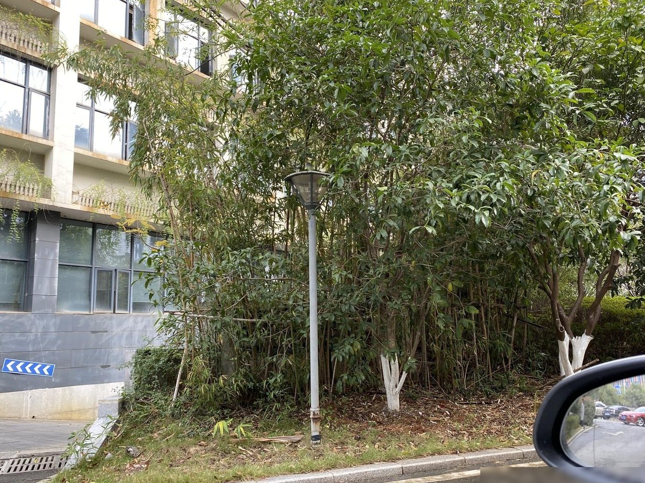 微单真不如手机拍得好？