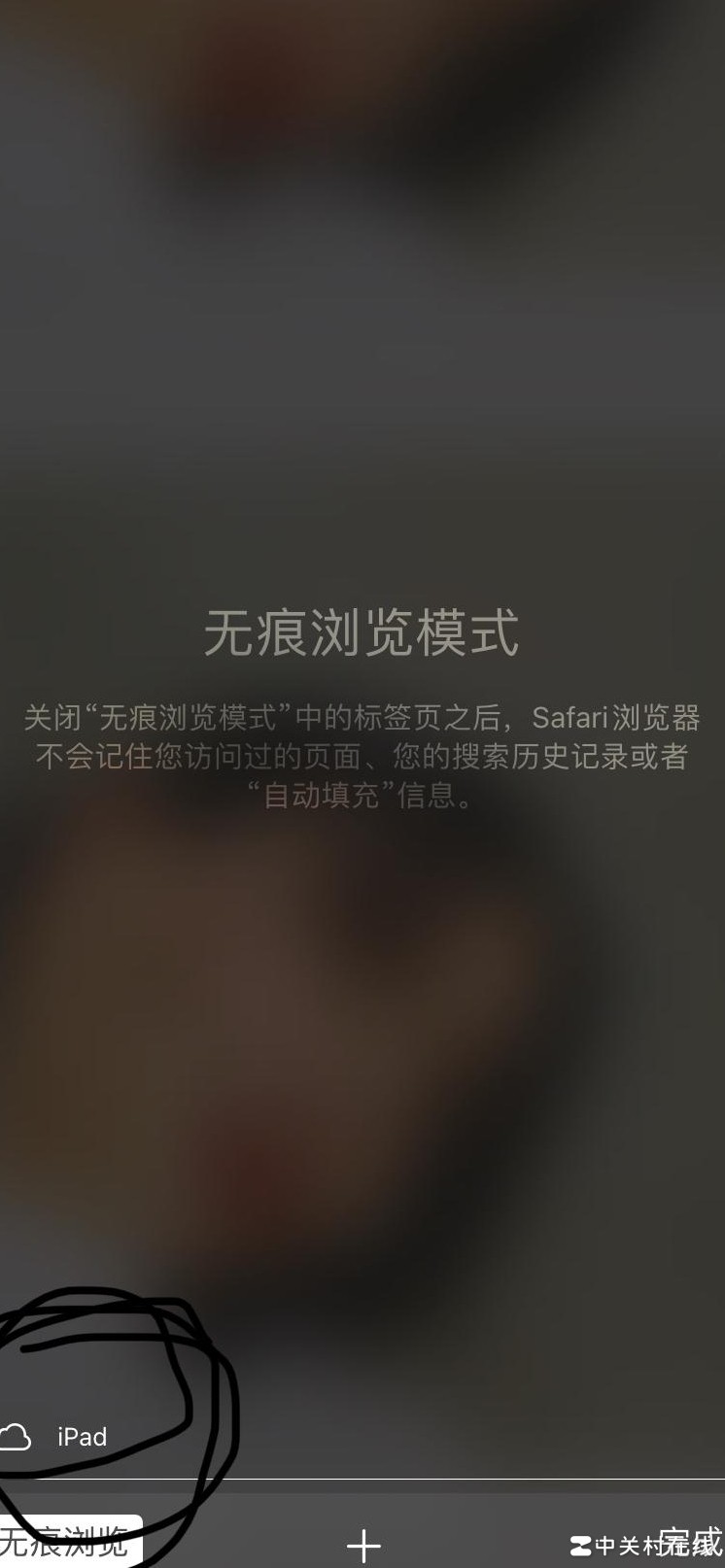 无痕浏览显示iPad图标