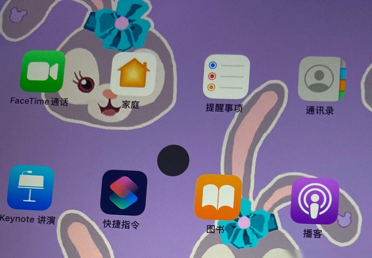 iPad小圆点怎么取消？