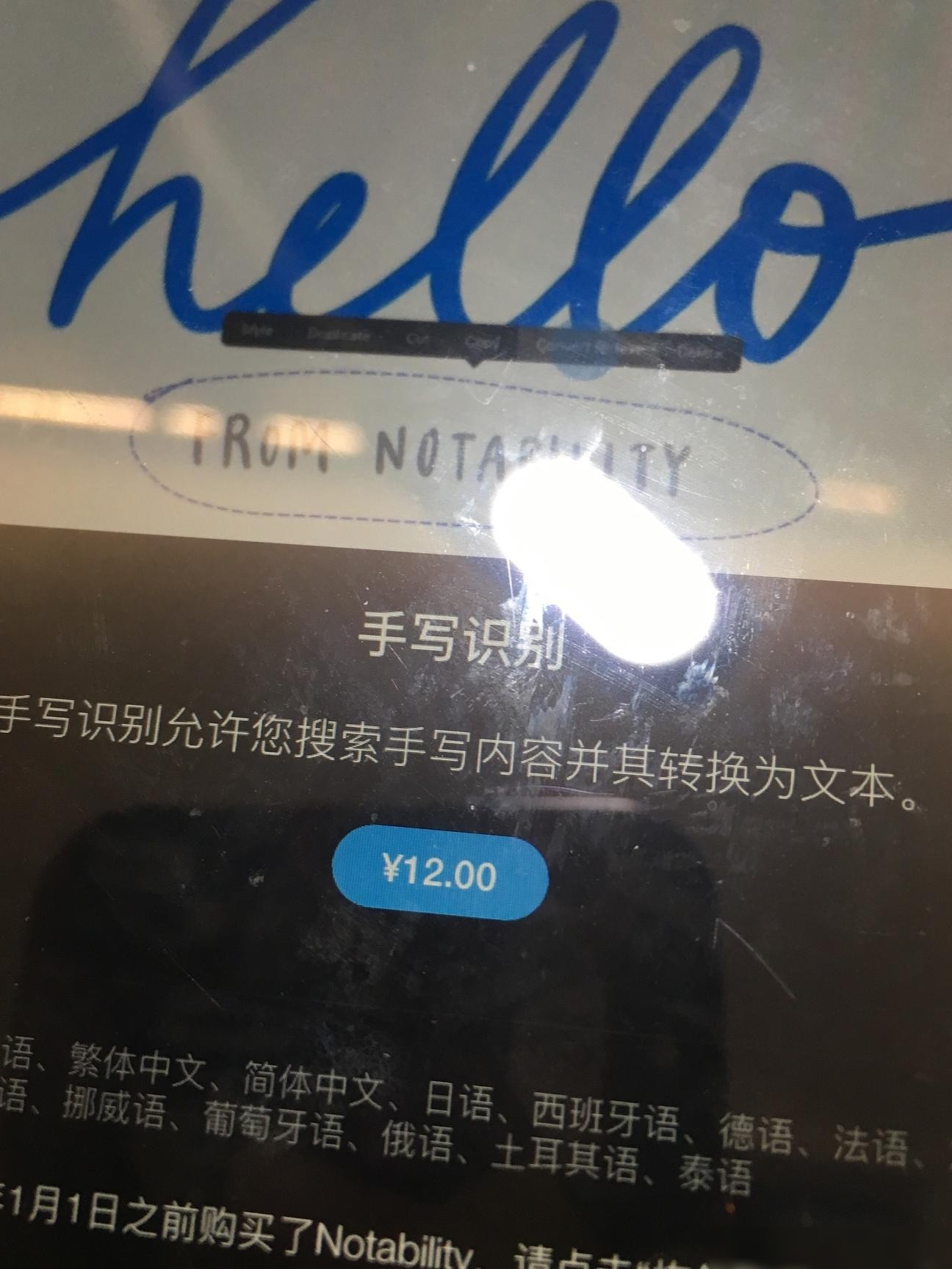 Notability手写识别需重复购买