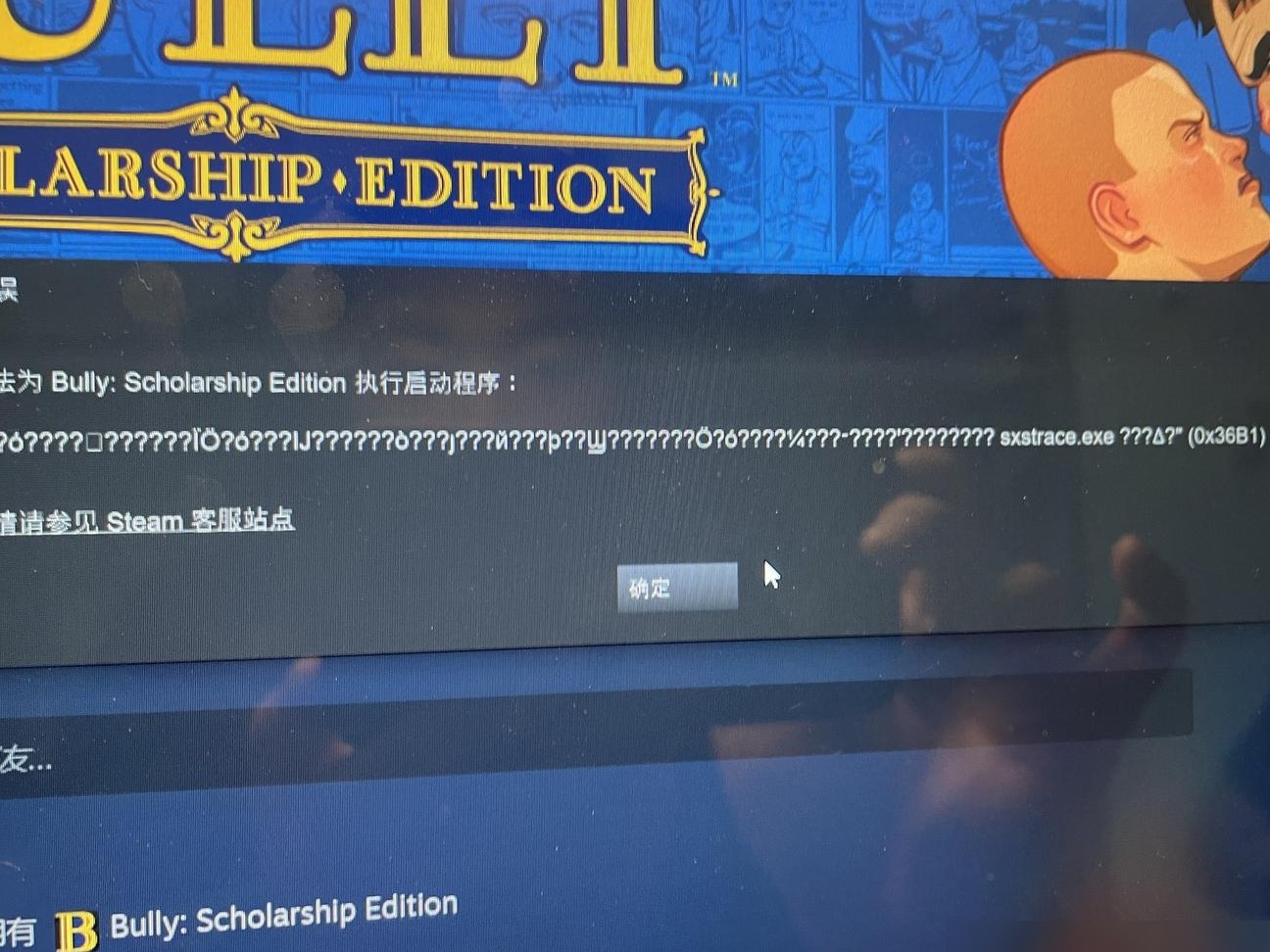 恶霸鲁尼Steam问题应对