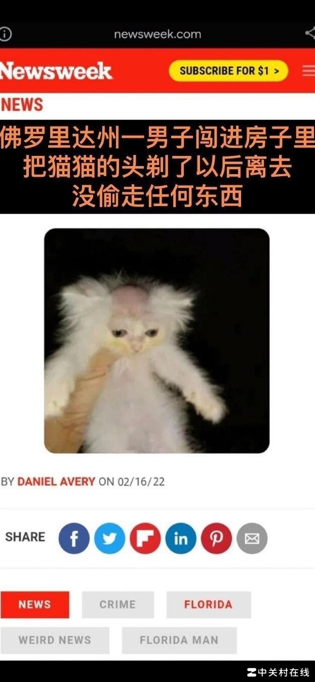 剃秃家猫是否犯法？