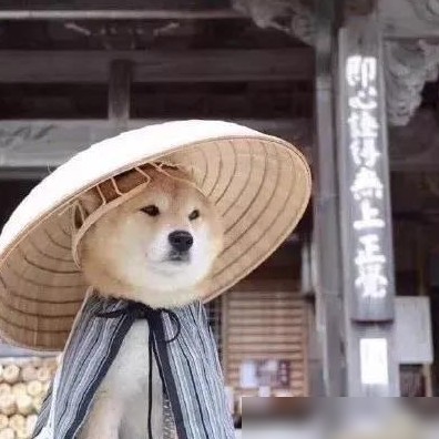 鸿蒙与安卓的关系揭秘