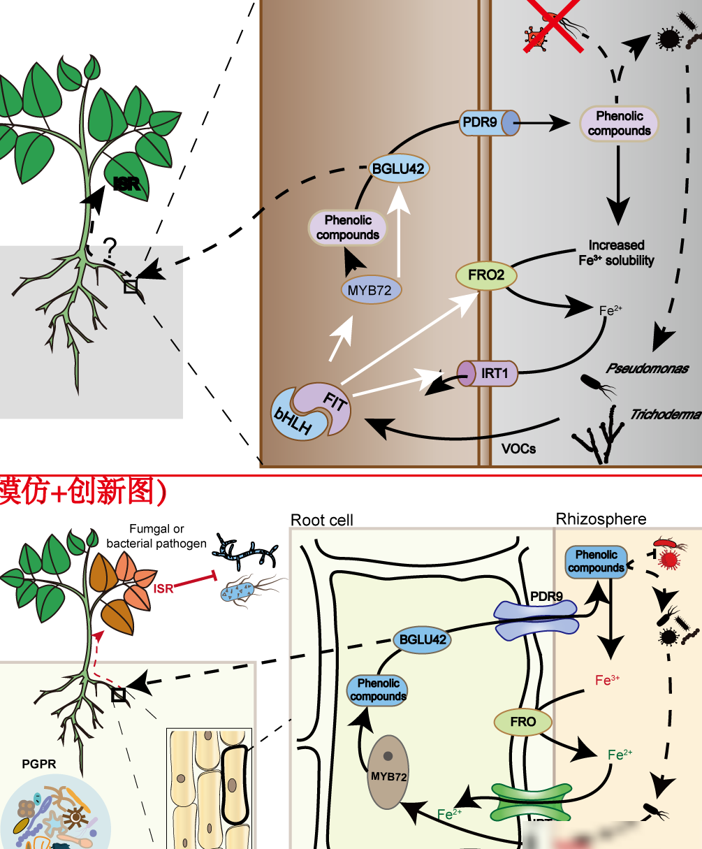AI科研绘图全攻略