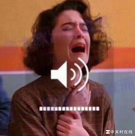 iPad Mini 还是 iPad Pro 10.5？