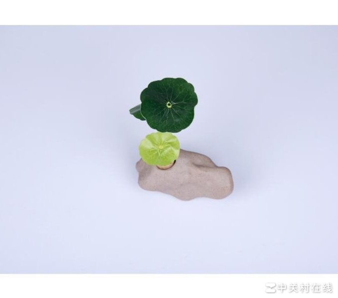 淘宝白底静物拍照发灰原因