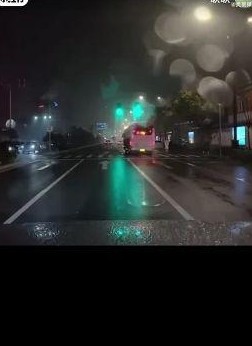 问界车主疑因误识别尾气急刹