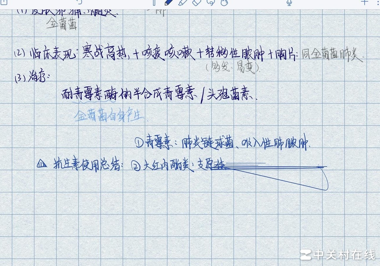 Apple Pencil误触解决方法