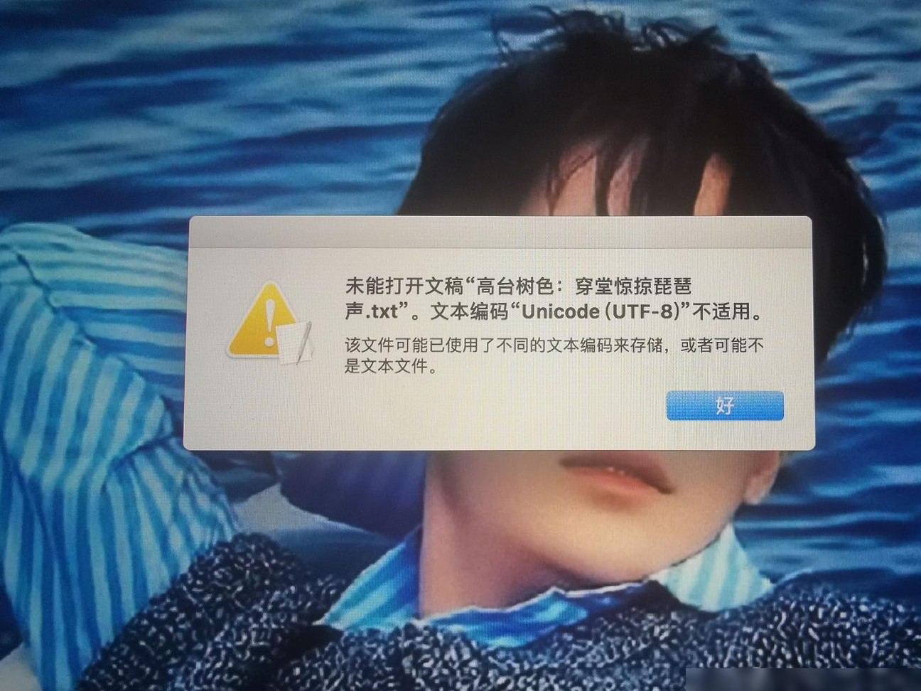 文稿打不开？快速解决方法