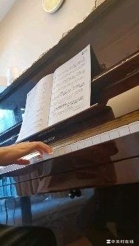 钢琴老师演奏水准正常吗？