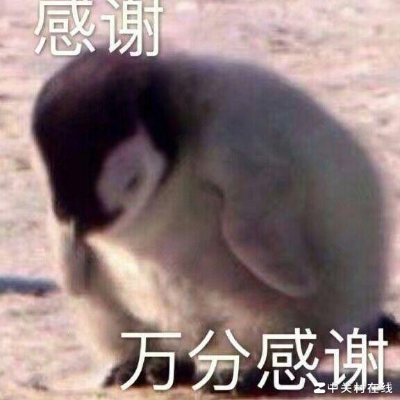 求大神改造军训服