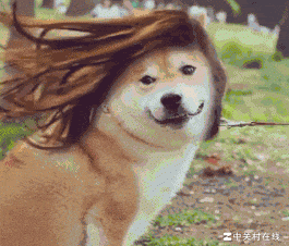 飞行员初始改装注意事项